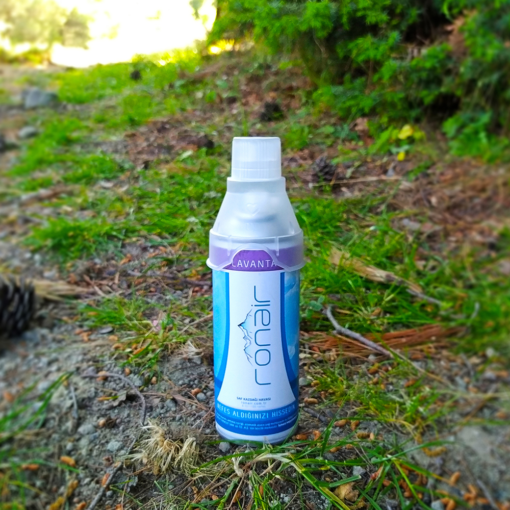 LAVANTA